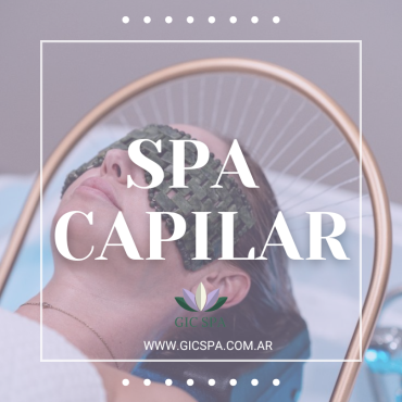 PLACAS DE LA PÁGINA (4)